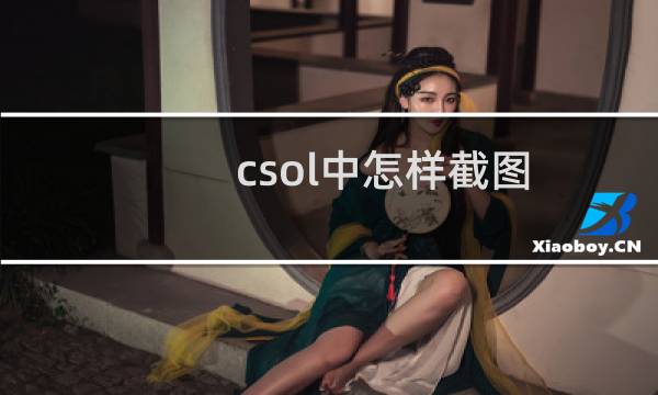 csol中怎样截图