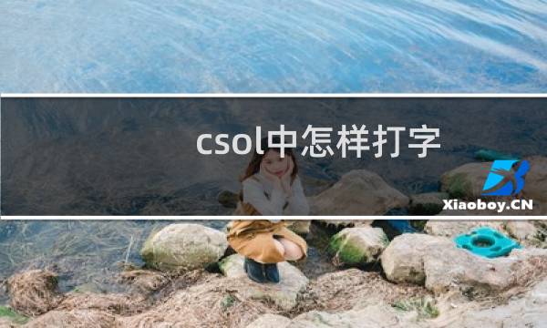 csol中怎样打字