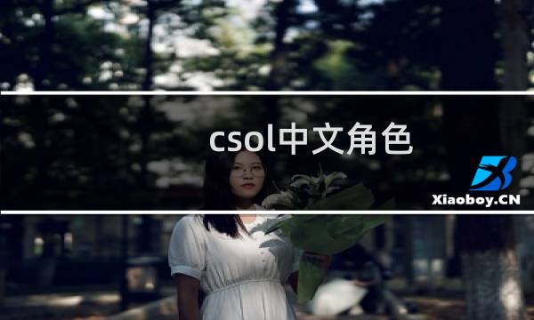 csol中文角色