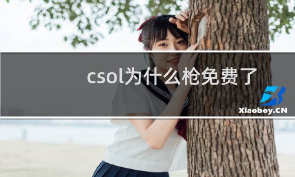 csol为什么枪免费了
