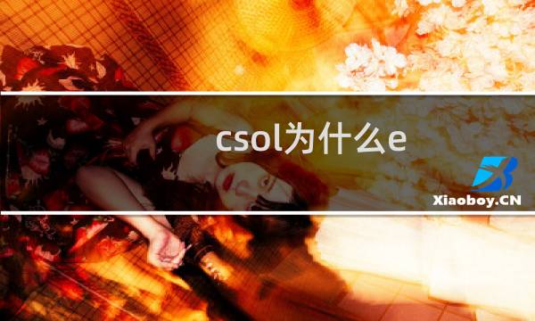 csol为什么e