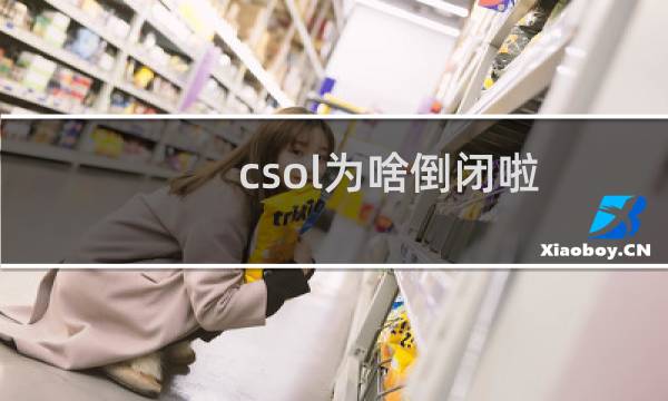 csol为啥倒闭啦