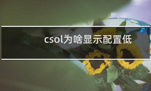 csol为啥显示配置低
