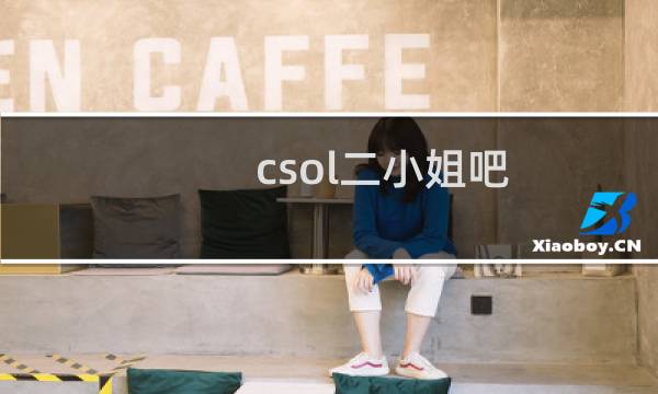 csol二小姐吧