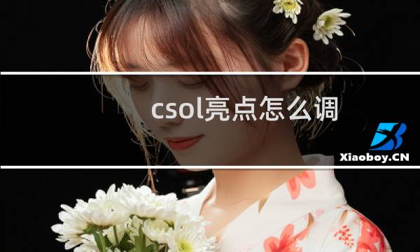 csol亮点怎么调