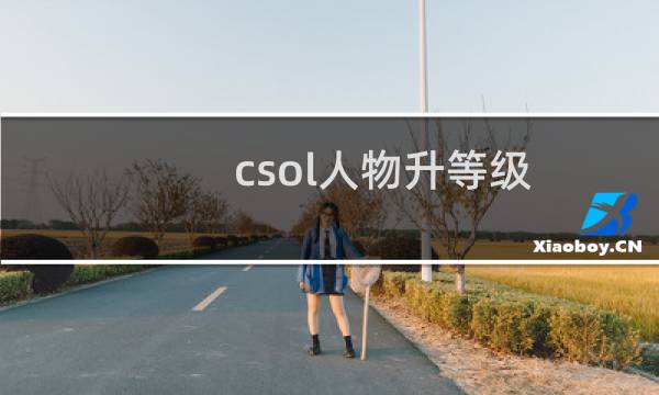 csol人物升等级