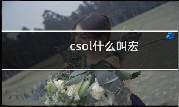 csol什么叫宏