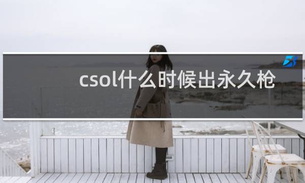 csol什么时候出永久枪