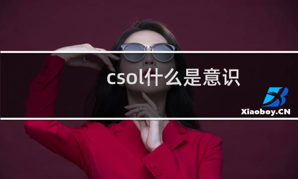 csol什么是意识