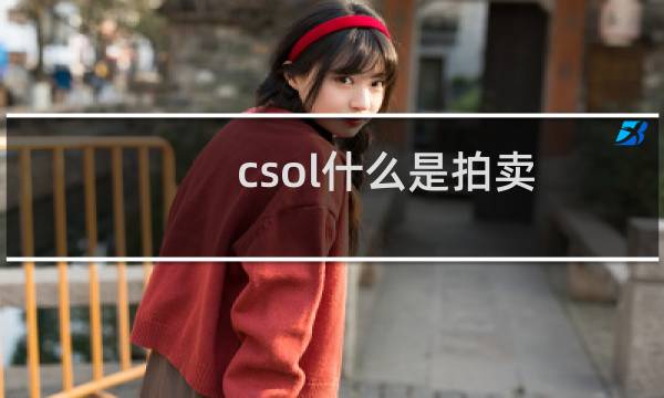 csol什么是拍卖