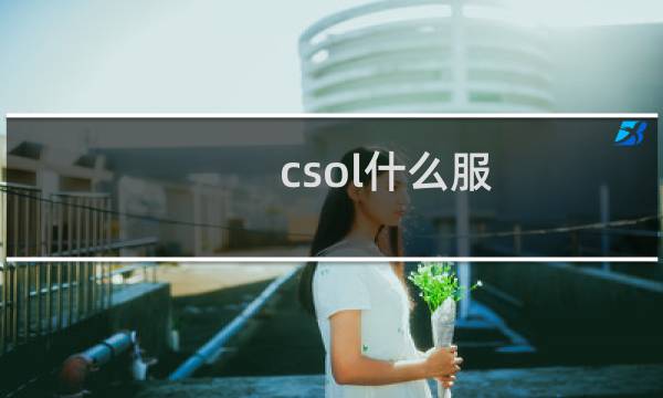 csol什么服