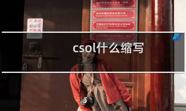 csol什么缩写