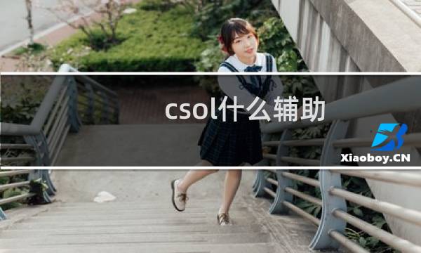 csol什么辅助