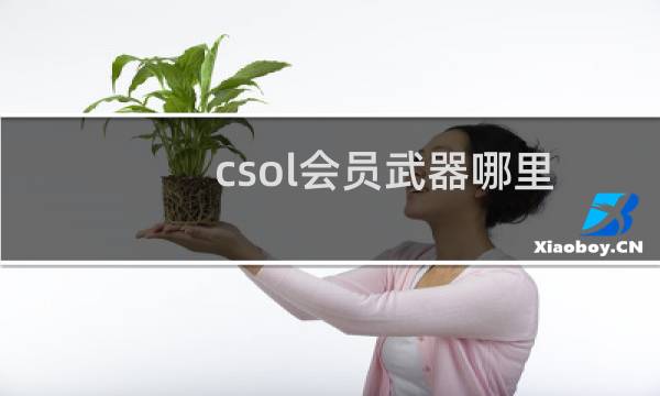 csol会员武器哪里