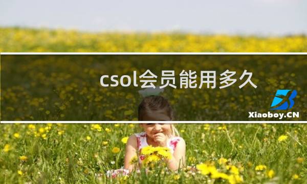csol会员能用多久