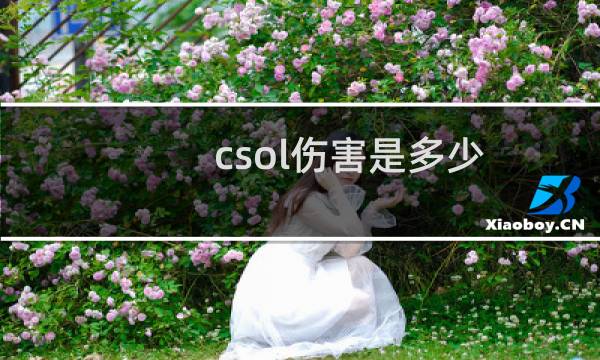 csol伤害是多少