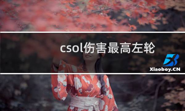 csol伤害最高左轮