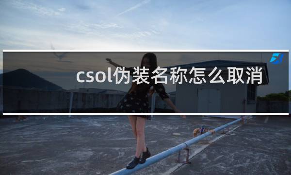 csol伪装名称怎么取消