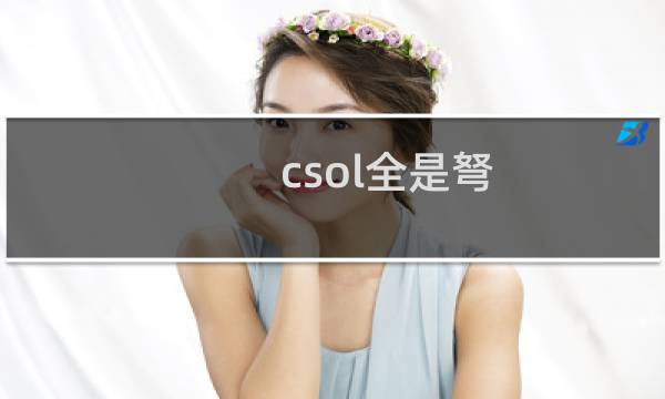 csol全是弩