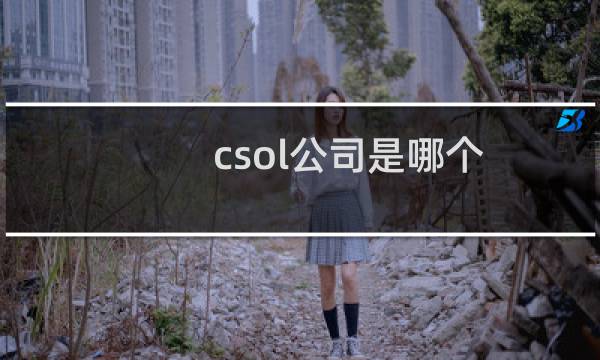 csol公司是哪个