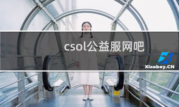 csol公益服网吧