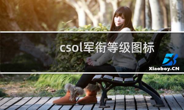 csol军衔等级图标