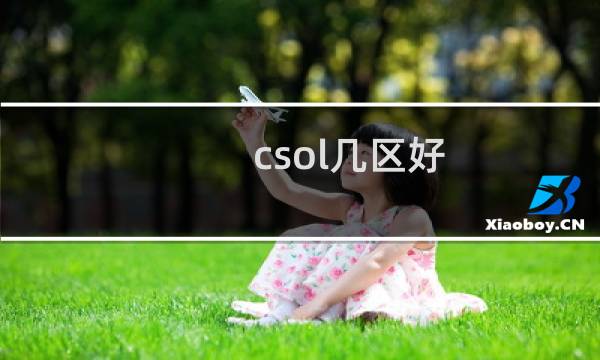 csol几区好