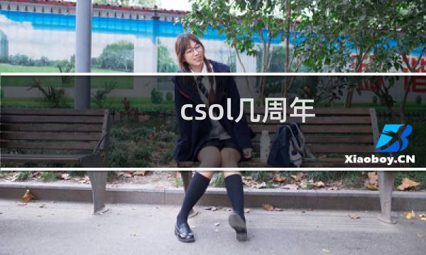 csol几周年