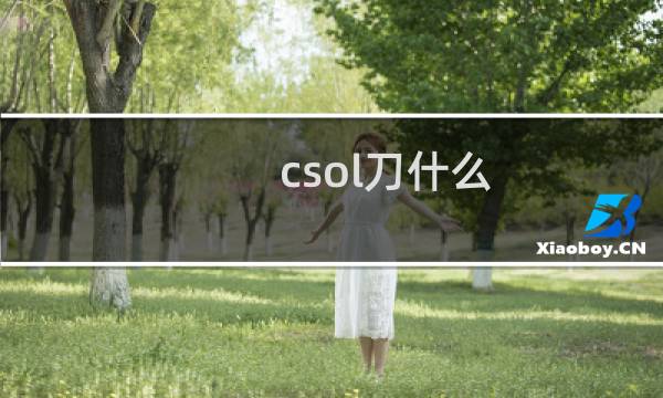 csol刀什么