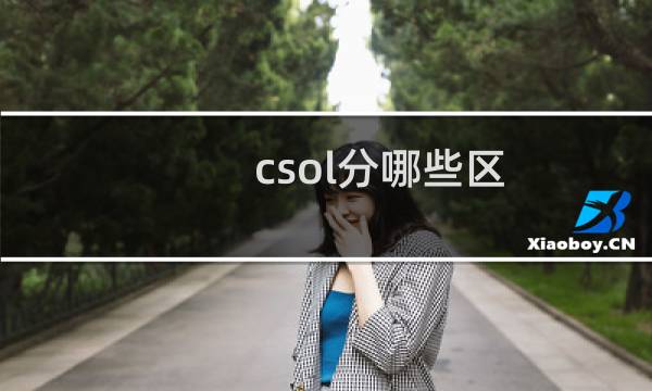 csol分哪些区