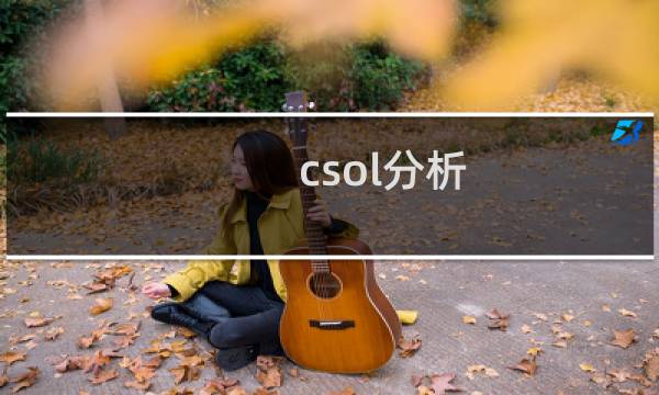 csol分析