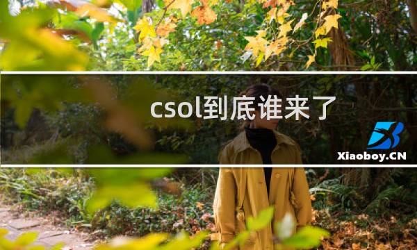 csol到底谁来了