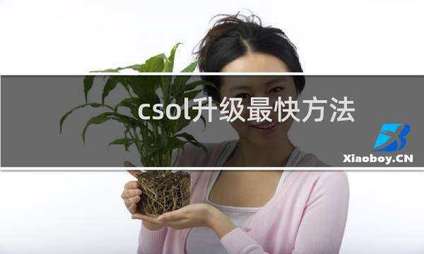 csol升级最快方法