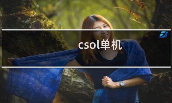 csol单机 加电脑