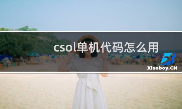 csol单机代码怎么用