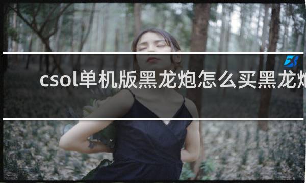 csol单机版黑龙炮怎么买黑龙炮