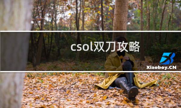 csol双刀攻略