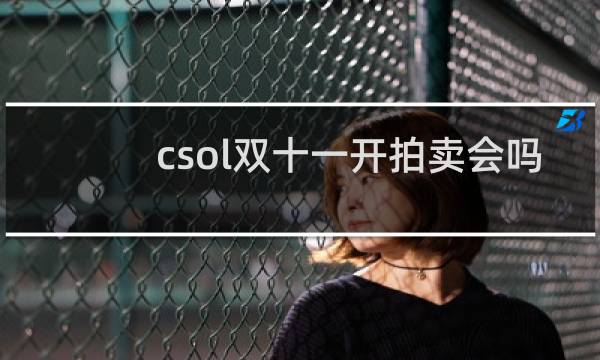 csol双十一开拍卖会吗