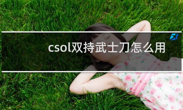 csol双持武士刀怎么用