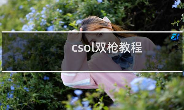 csol双枪教程