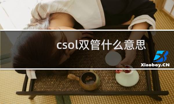 csol双管什么意思