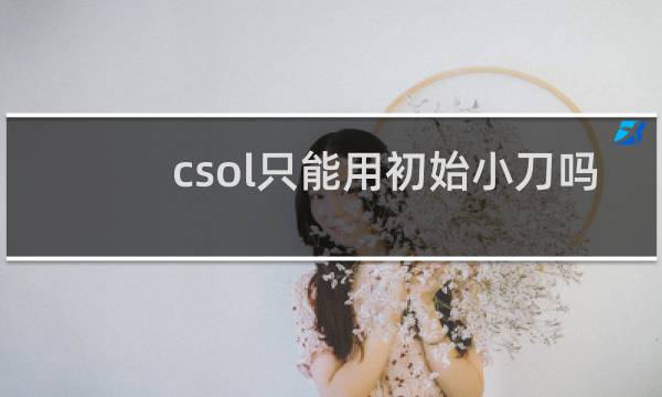 csol只能用初始小刀吗