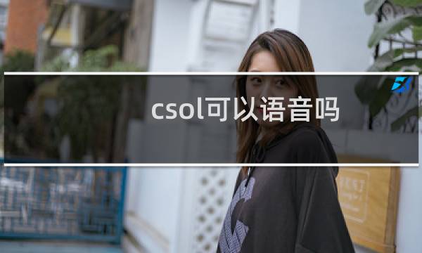 csol可以语音吗