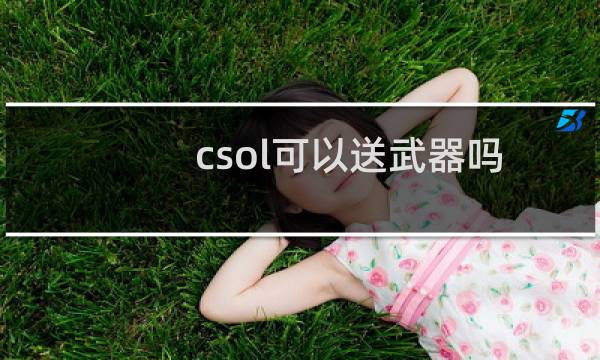 csol可以送武器吗