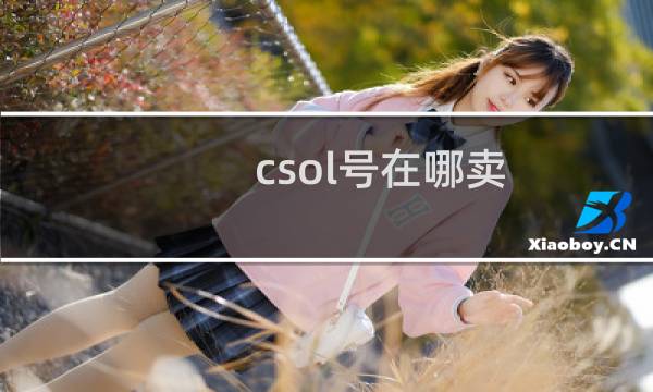csol号在哪卖