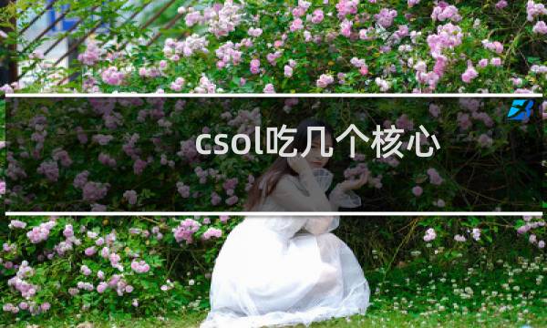 csol吃几个核心