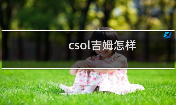 csol吉姆怎样