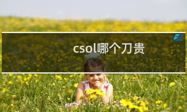 csol哪个刀贵