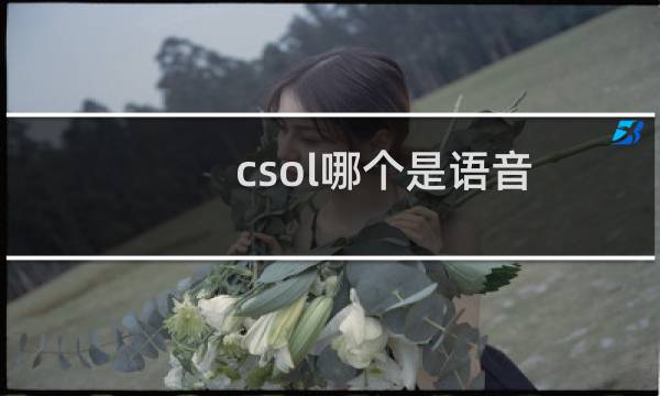 csol哪个是语音