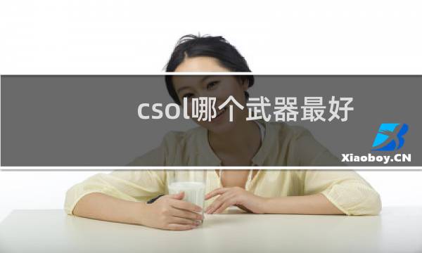 csol哪个武器最好